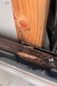 Water infiltration