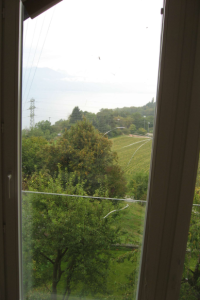 Glass defect